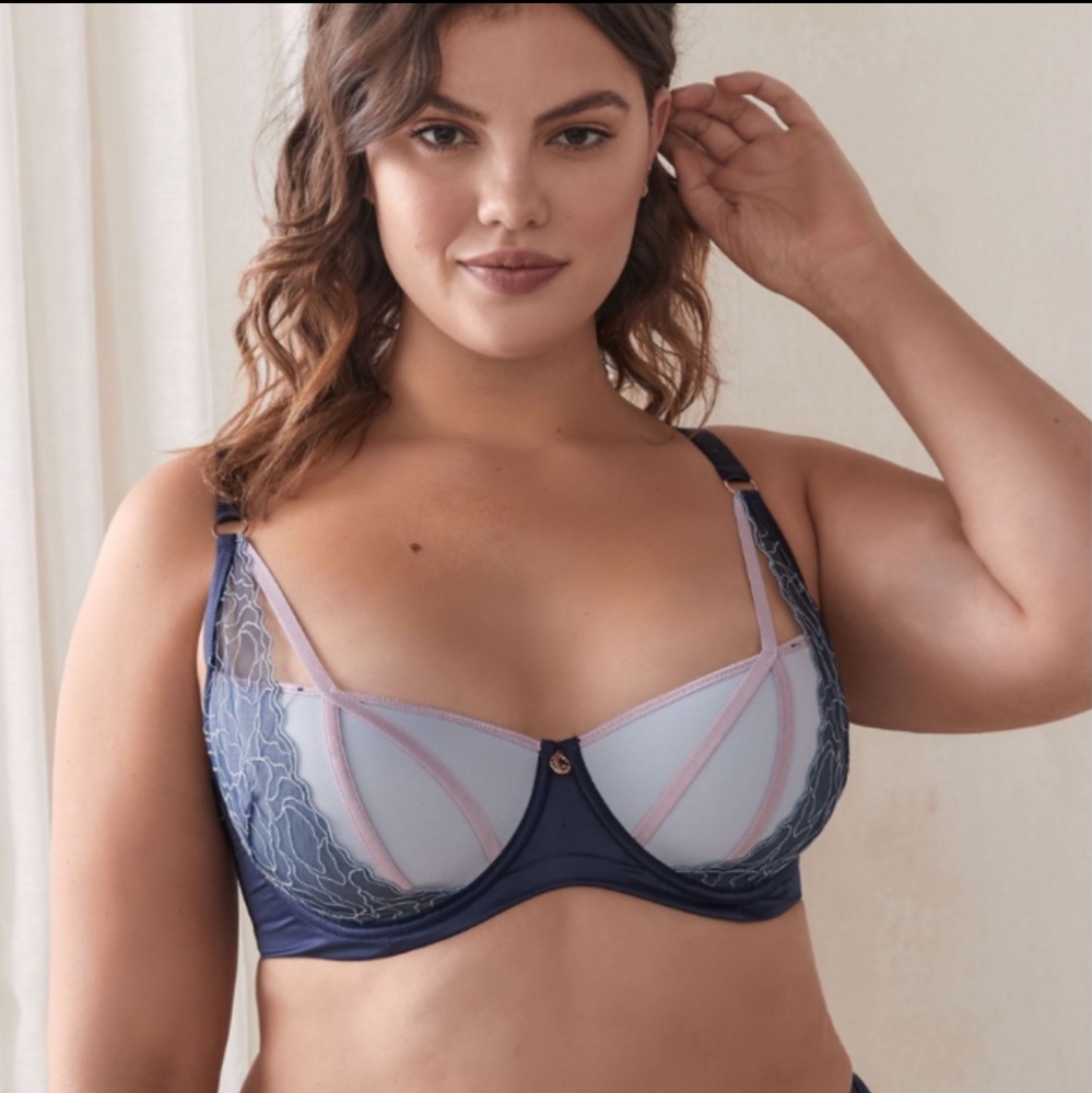 Ashley Graham bra